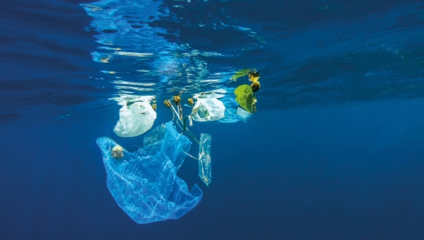 Plástico está en seis de los diez desechos más comunes en el océano.